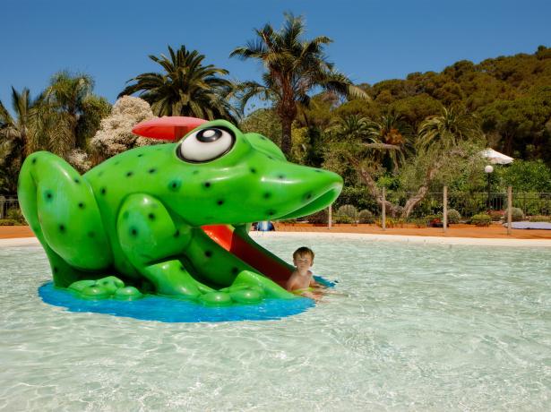 rosselbalepalme de september-auf-der-insel-elba-mit-faehre-inklusive-und-eintritt-zum-spa 024