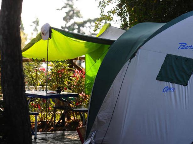 rosselbalepalme nl mei-juni-op-camping-op-eiland-elba 021