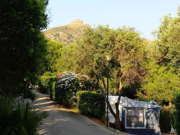 rosselbalepalme nl mei-juni-op-camping-op-eiland-elba 022