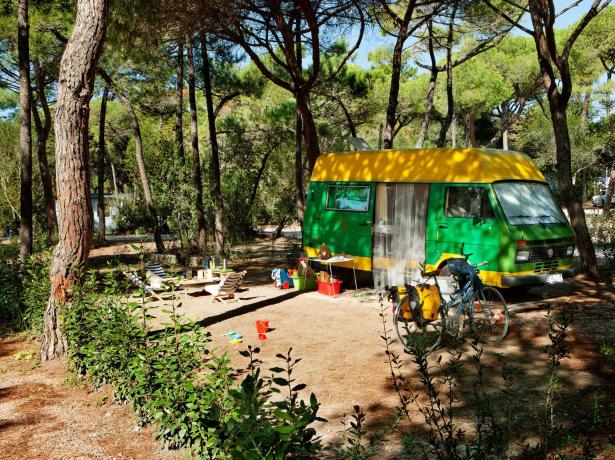 rosselbalepalme pl oferta-wakacyjna-na-kempingu-na-placach-namiotowych-na-wyspie-elba 022