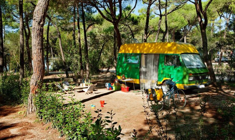 rosselbalepalme en may-and-june-in-tent-elba-island-is-waiting-for-you 021
