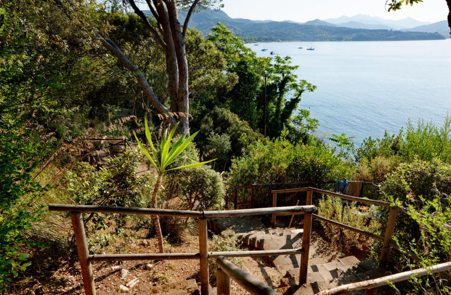 rosselbalepalme it vacanze-di-luglio-campeggio-portoferraio-isola-d-elba 021