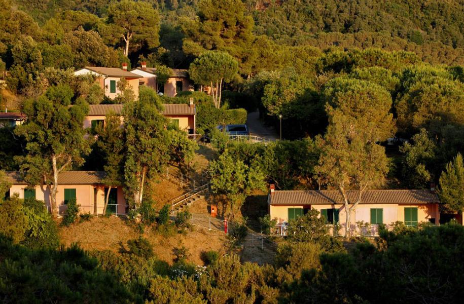 rosselbalepalme en end-of-school-offer-on-elba-island 019