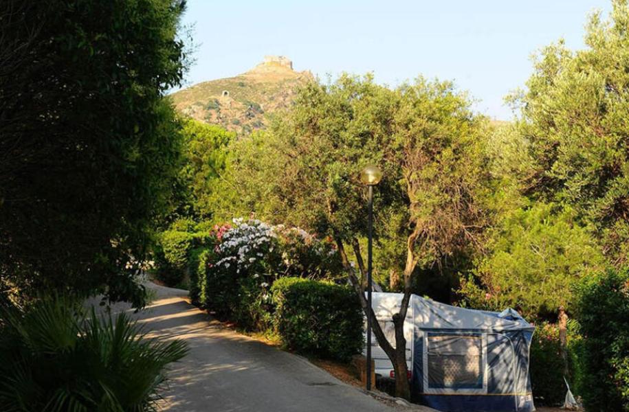 rosselbalepalme nl mei-juni-op-camping-op-eiland-elba 018