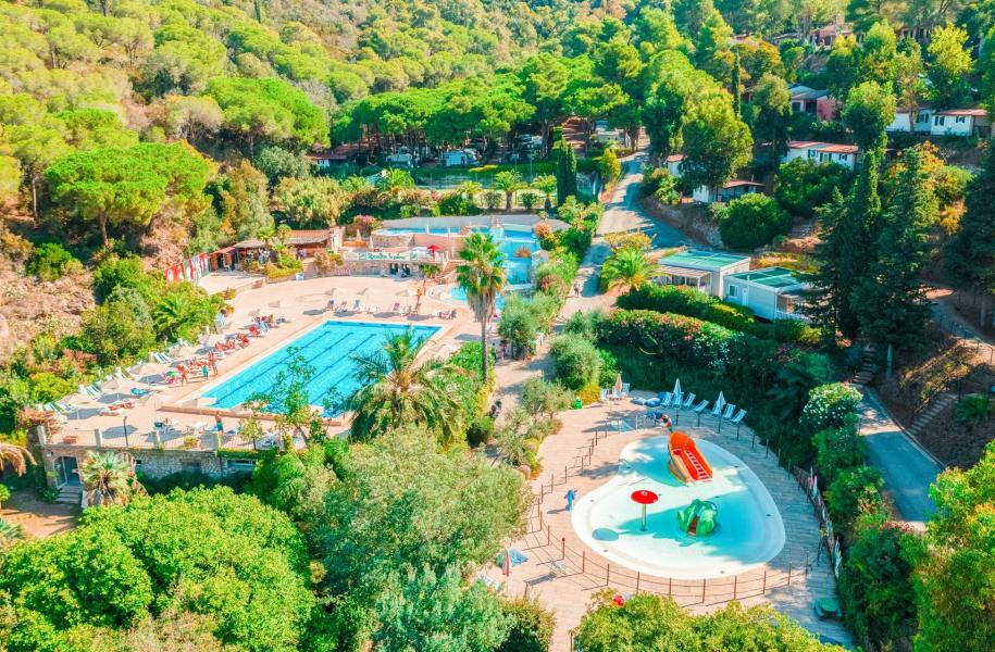 rosselbalepalme de urlaub-auf-der-insel-elba-auf-campingplatz-in-der-natur 017