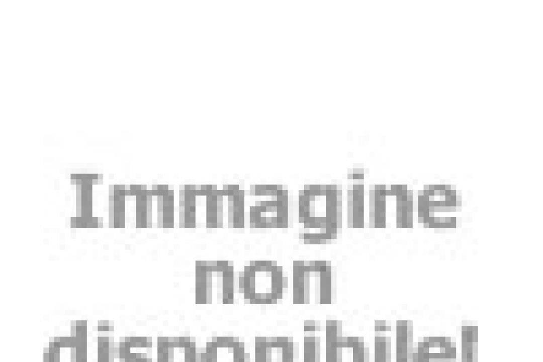 rosselbalepalme fr chalet-deluxe 022