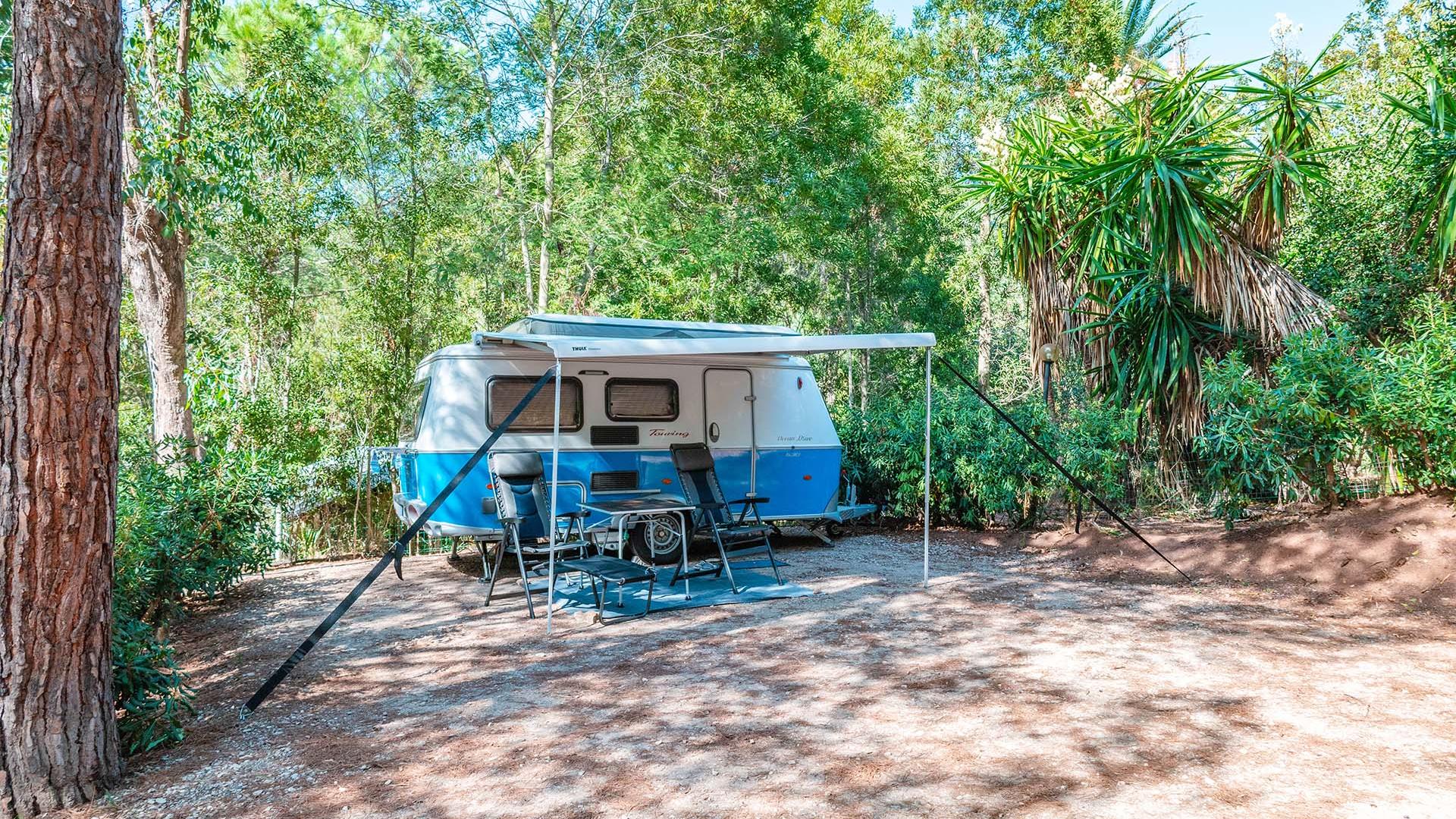 rosselbalepalme nl de-camping 023