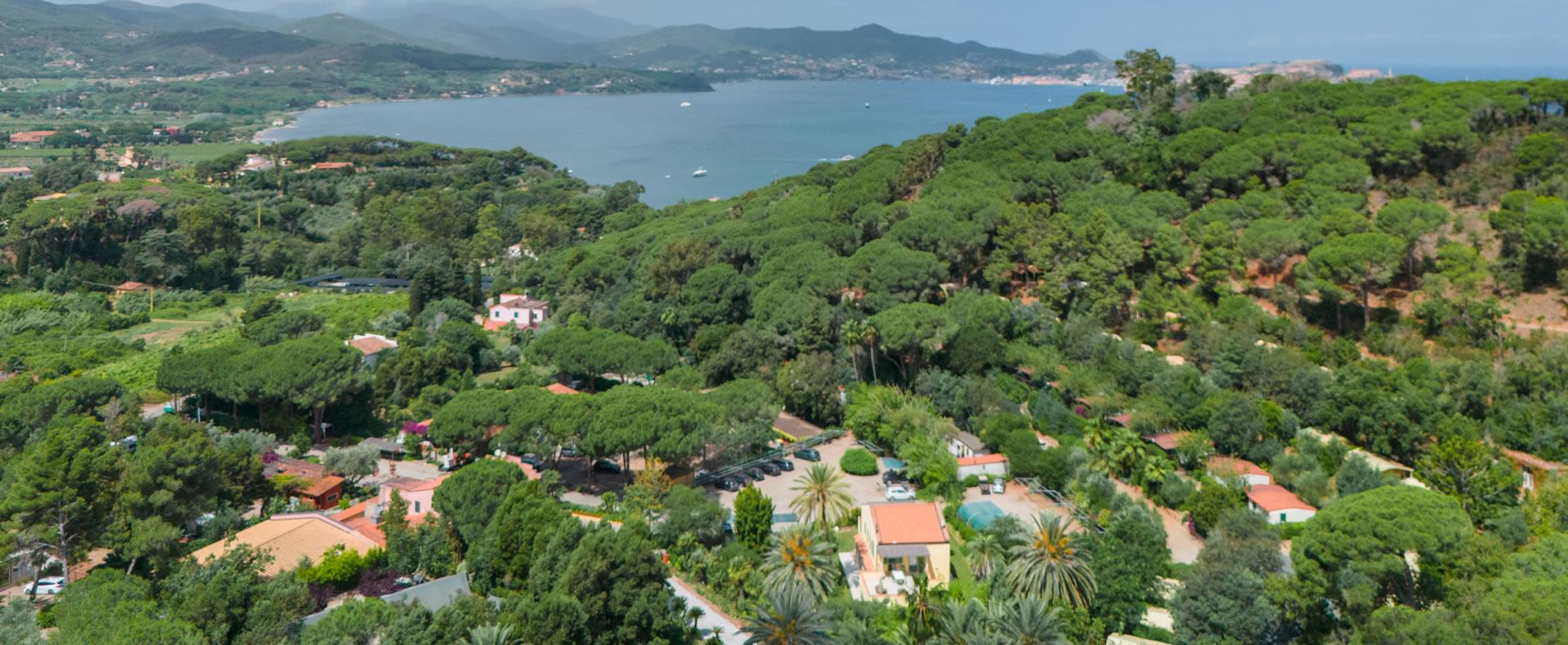 Vista mozzafiato su colline verdi e mare azzurro.