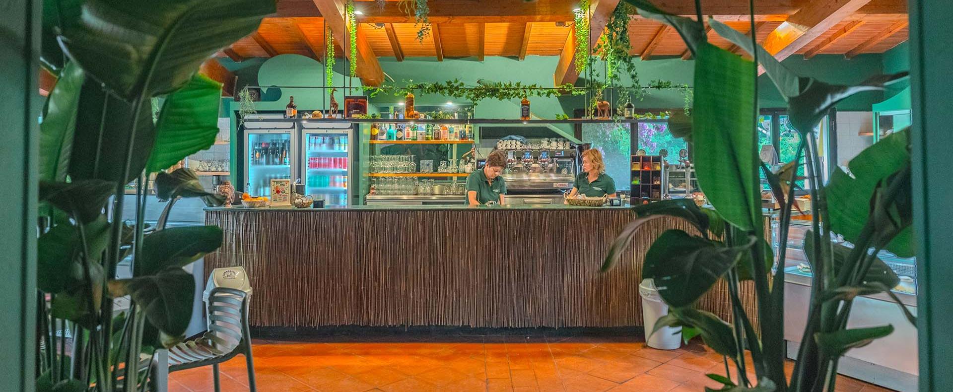 rosselbalepalme fr le-restaurant 025